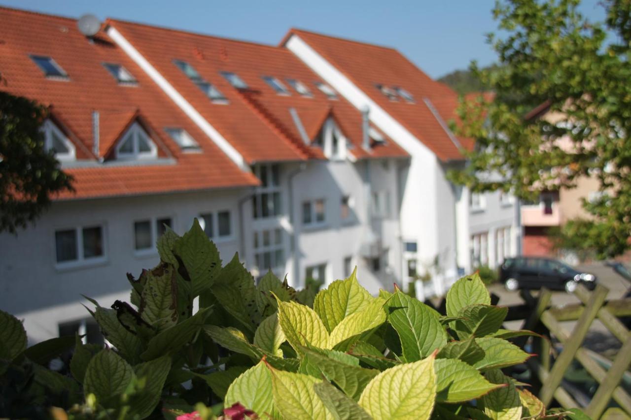 Hotel Leo Muehlhausen Екстер'єр фото